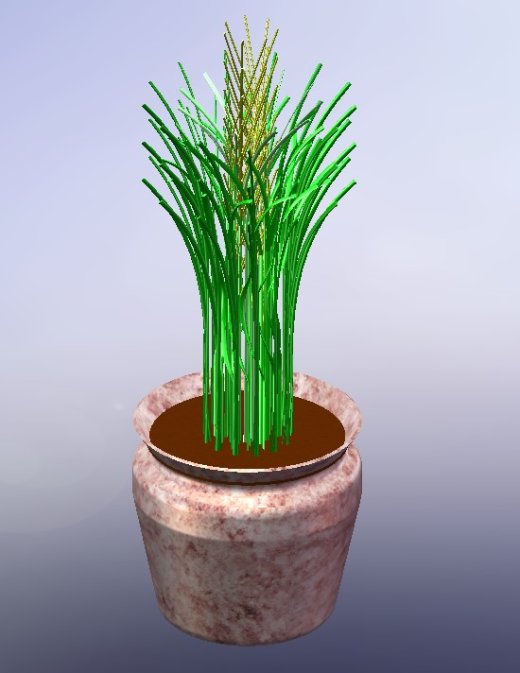 高草盆栽植物缩略图